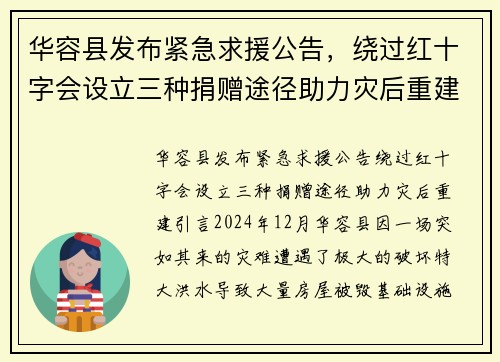 华容县发布紧急求援公告，绕过红十字会设立三种捐赠途径助力灾后重建
