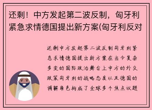 还剩！中方发起第二波反制，匈牙利紧急求情德国提出新方案(匈牙利反对派称若当选将终止中资计划)