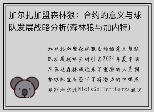 加尔扎加盟森林狼：合约的意义与球队发展战略分析(森林狼与加内特)