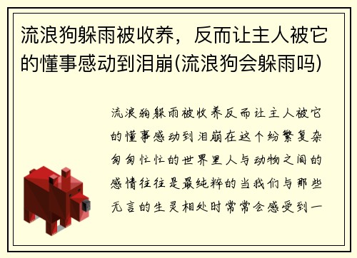 流浪狗躲雨被收养，反而让主人被它的懂事感动到泪崩(流浪狗会躲雨吗)