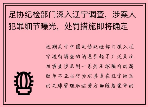 足协纪检部门深入辽宁调查，涉案人犯罪细节曝光，处罚措施即将确定