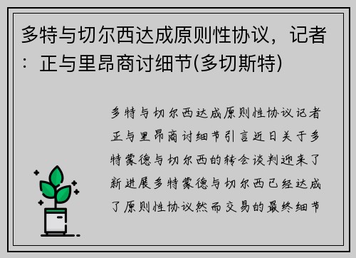 多特与切尔西达成原则性协议，记者：正与里昂商讨细节(多切斯特)