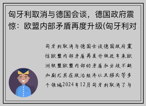 匈牙利取消与德国会谈，德国政府震惊：欧盟内部矛盾再度升级(匈牙利对德国宣战)