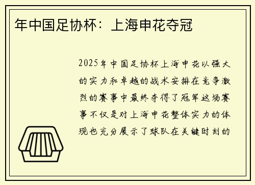 年中国足协杯：上海申花夺冠