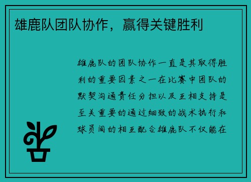 雄鹿队团队协作，赢得关键胜利