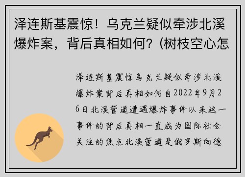 泽连斯基震惊！乌克兰疑似牵涉北溪爆炸案，背后真相如何？(树枝空心怎么办)
